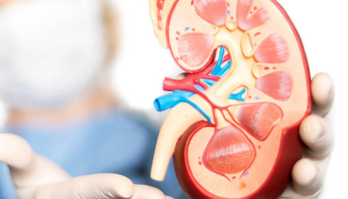 orthopedic Hospital in bangalore