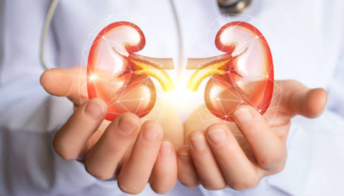 Best Nephrologist in bangalore