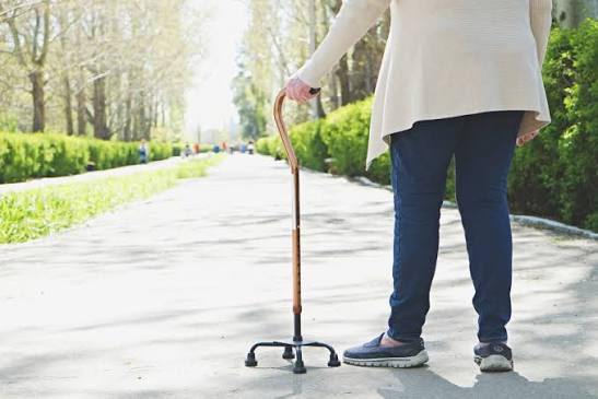 walking stick